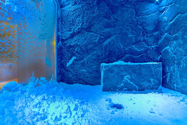 Viking Snow Room