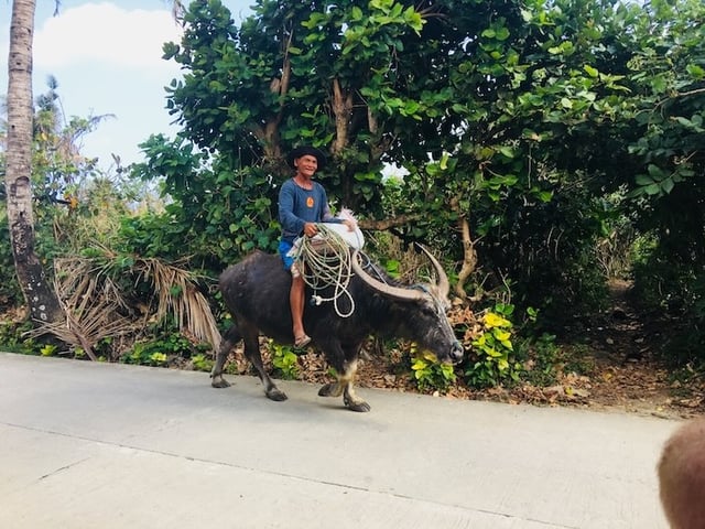 180430143746_sueestabrook-silverdiscoverer3