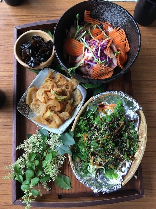 180430144139_sueestabrook-silverdiscoverer5-1