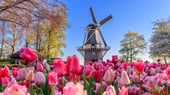 Windmill