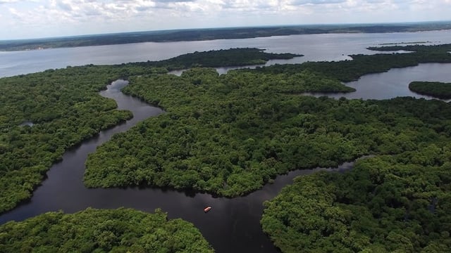 Aerial Shot of Amazon rainforest in Brazil, South America