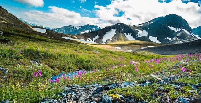 Alaska