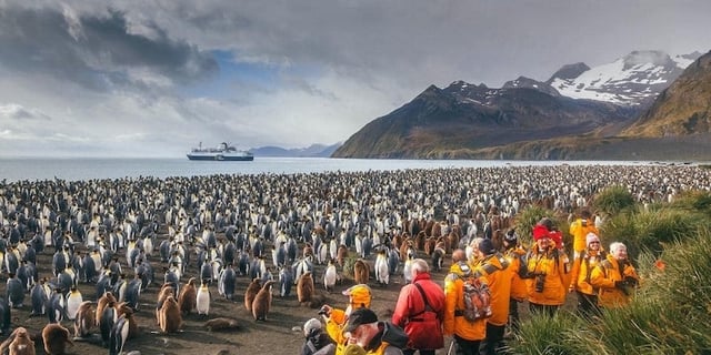 ExpeditionPolarPenguins