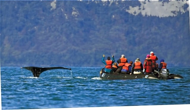 Lindblad - Alaska Whale