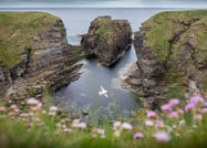 Orkney Islands Scotland