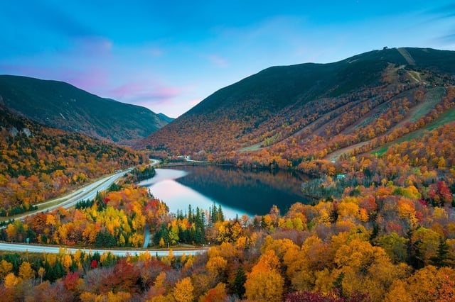 fall foliage