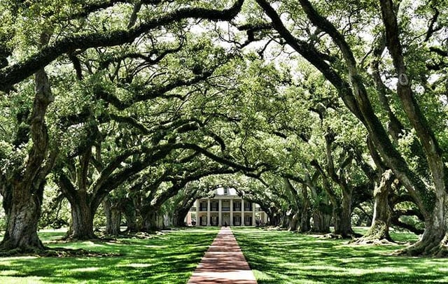 dirk-spijkers-PoQcfmoWoAA-oak-alley-plantation_768