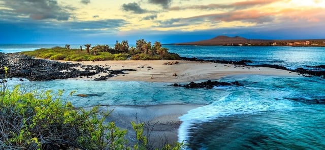 galapagos copy