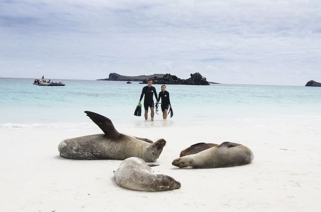 galapagos