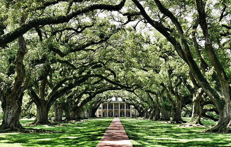 Oak Alley Plantation