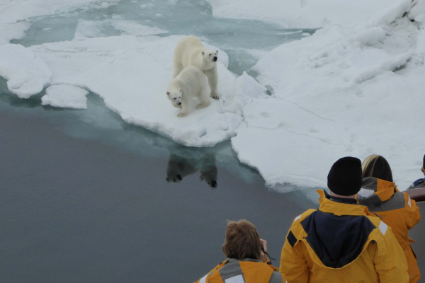 quark-expeditions-arctic-600x400