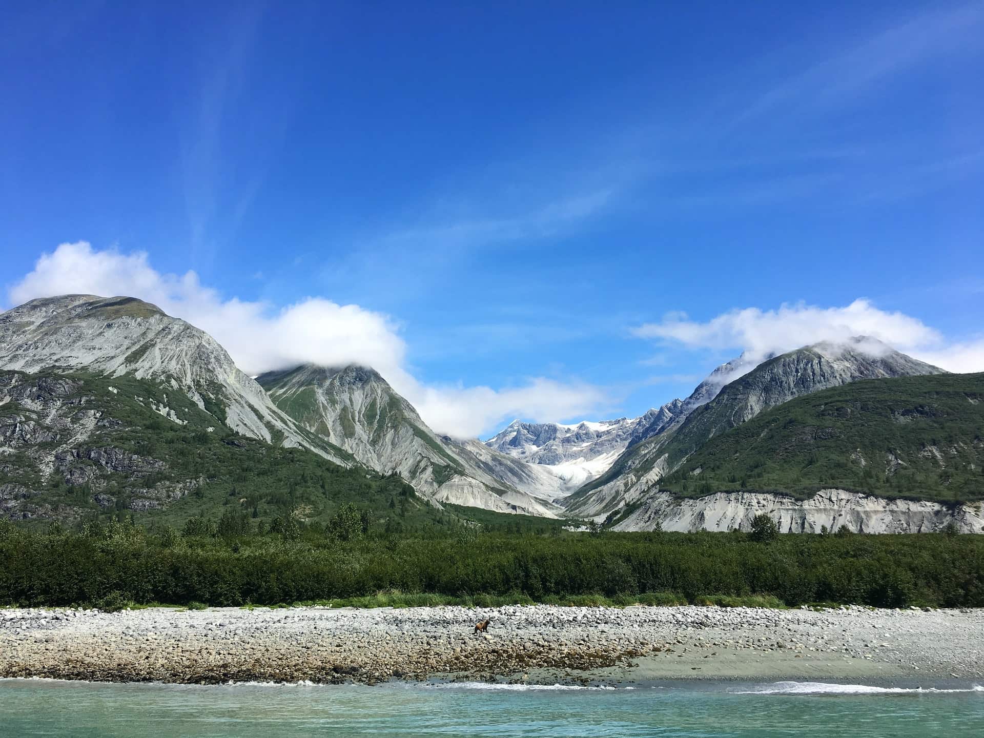 Glacier Bay, Alaska, USA