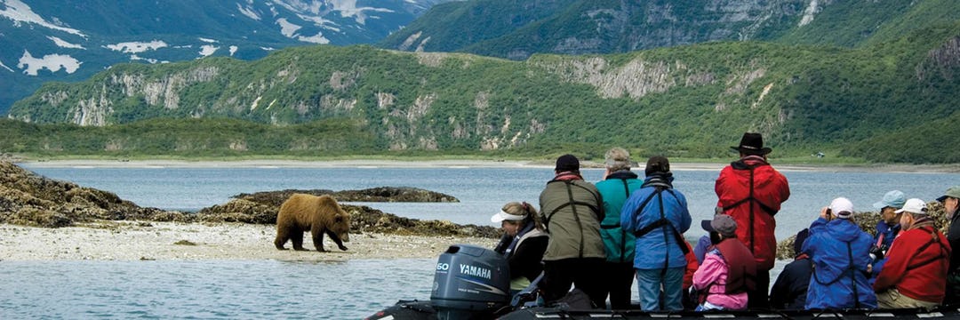 Zegrahm Expeditions bear encounters