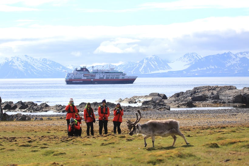 Wildlife encounters with Hurtigruten