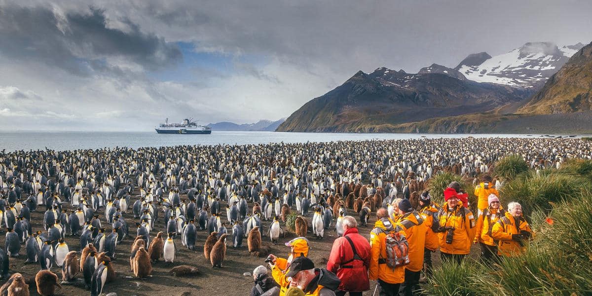 Explore nature intimately and authentically on an expedition cruise.