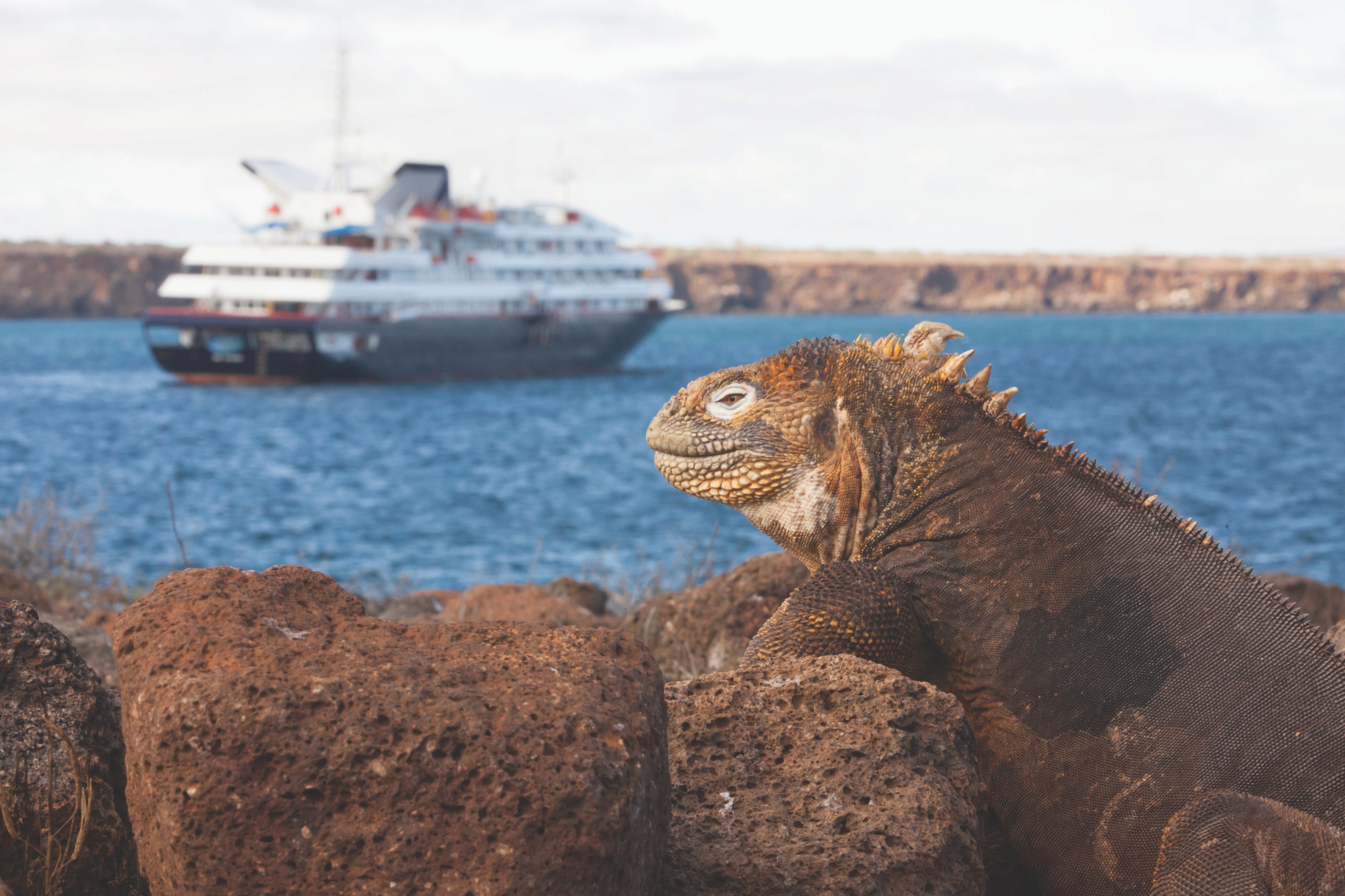 Silversea Expedition to the Galápagos Islands.