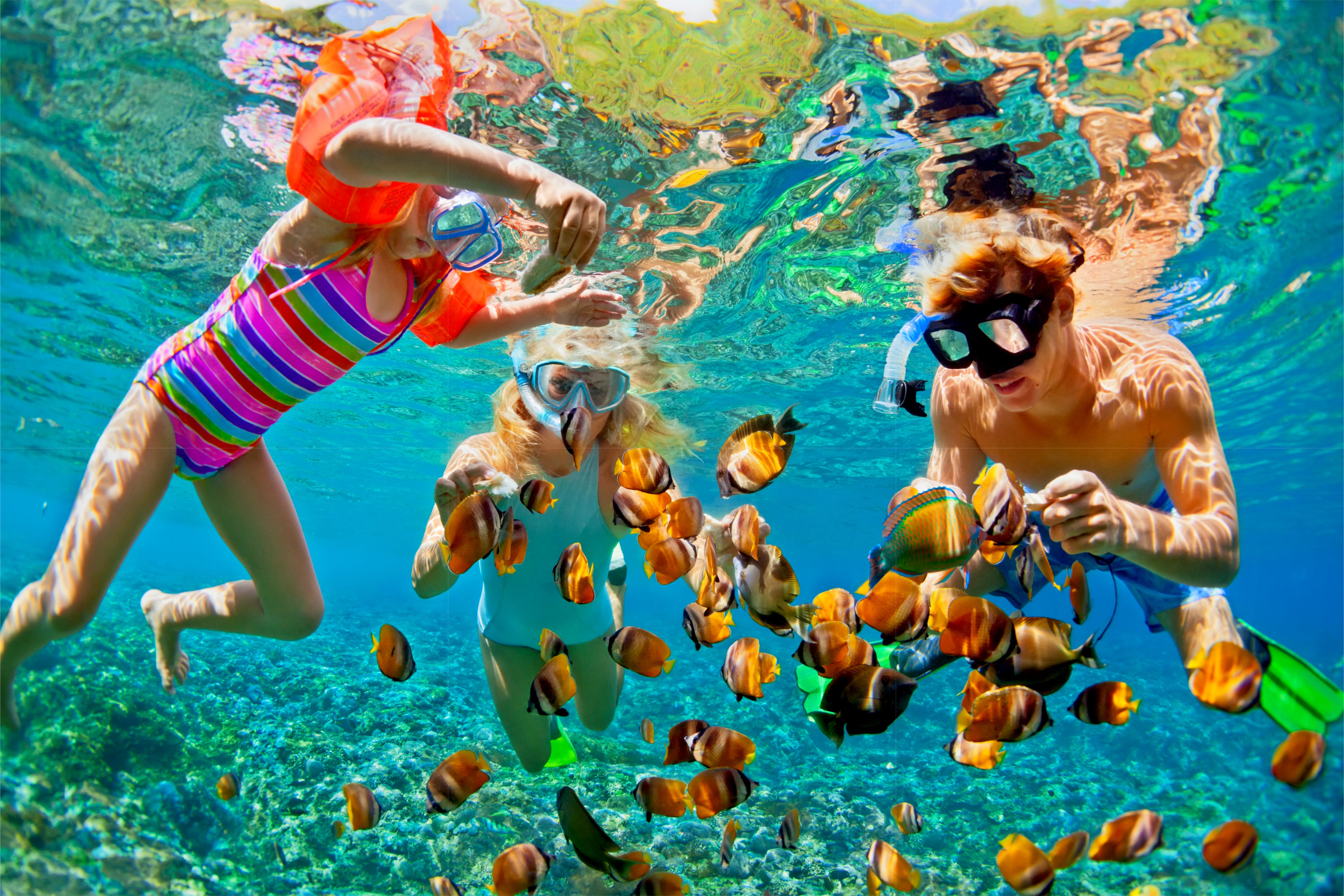 Snorkeling on Roatán is very safe, accessible and can easily enjoyed by any age or skill level.