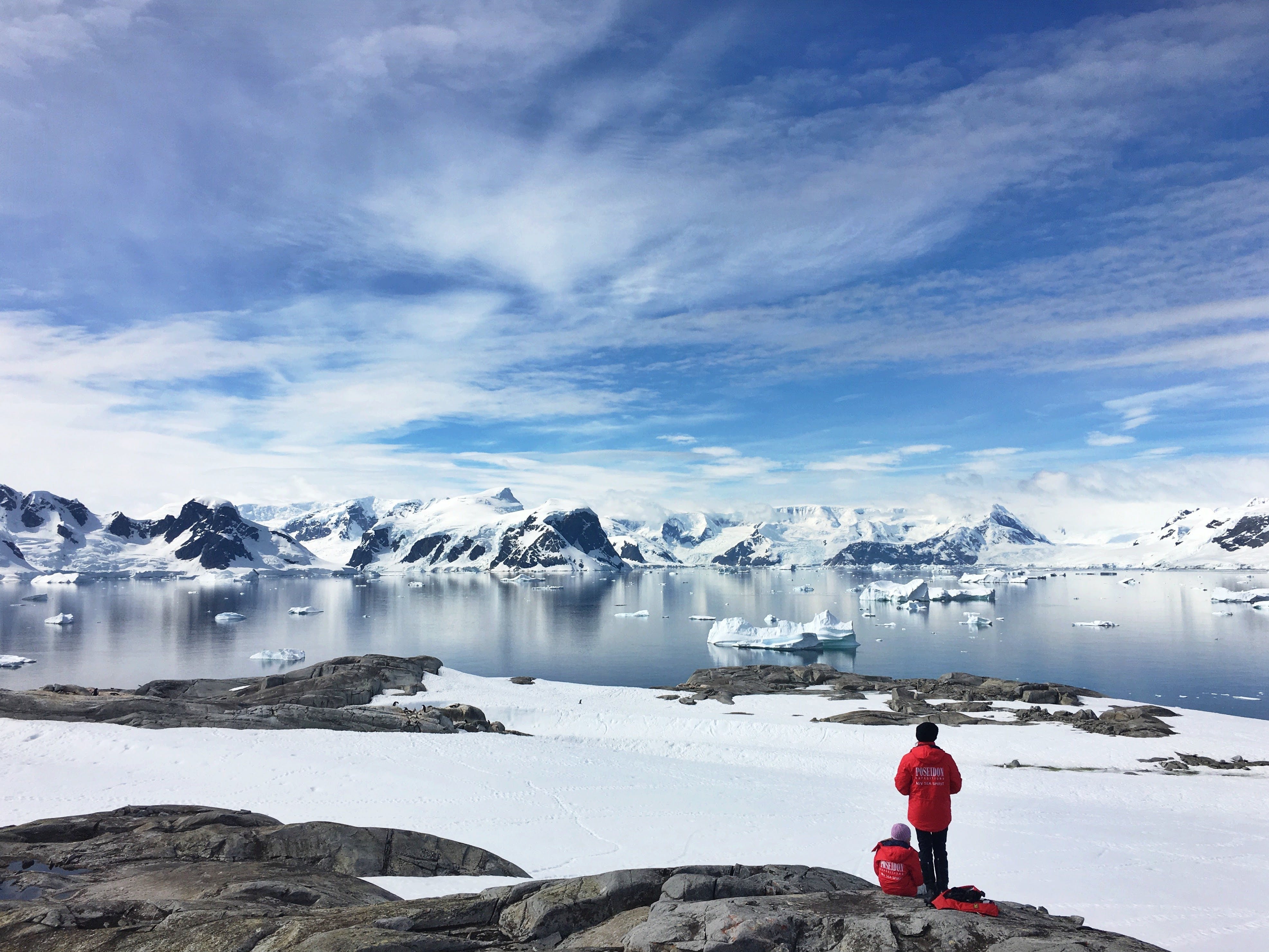 See Antarctica up close on an expedition adventure.