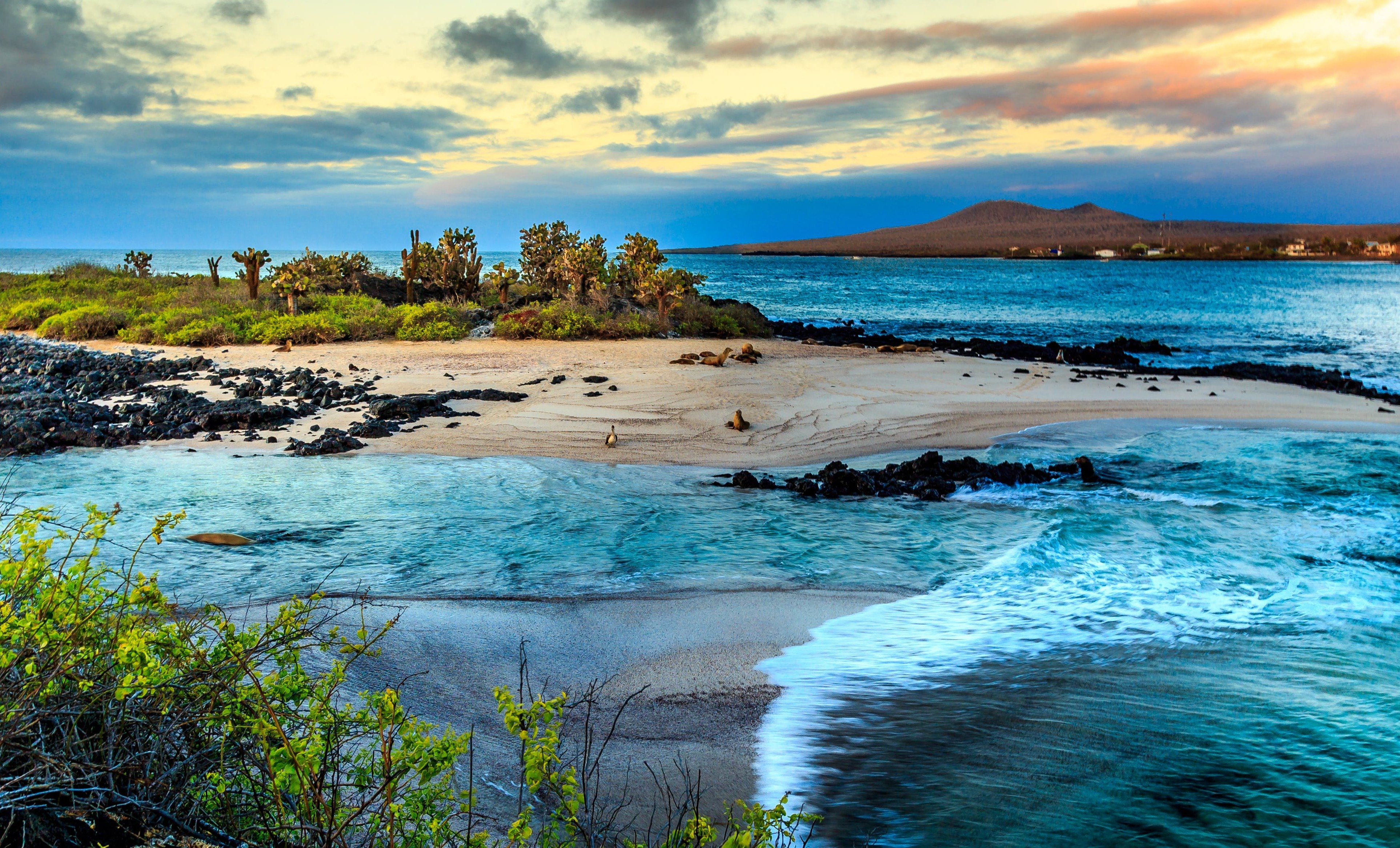 tours of galapagos