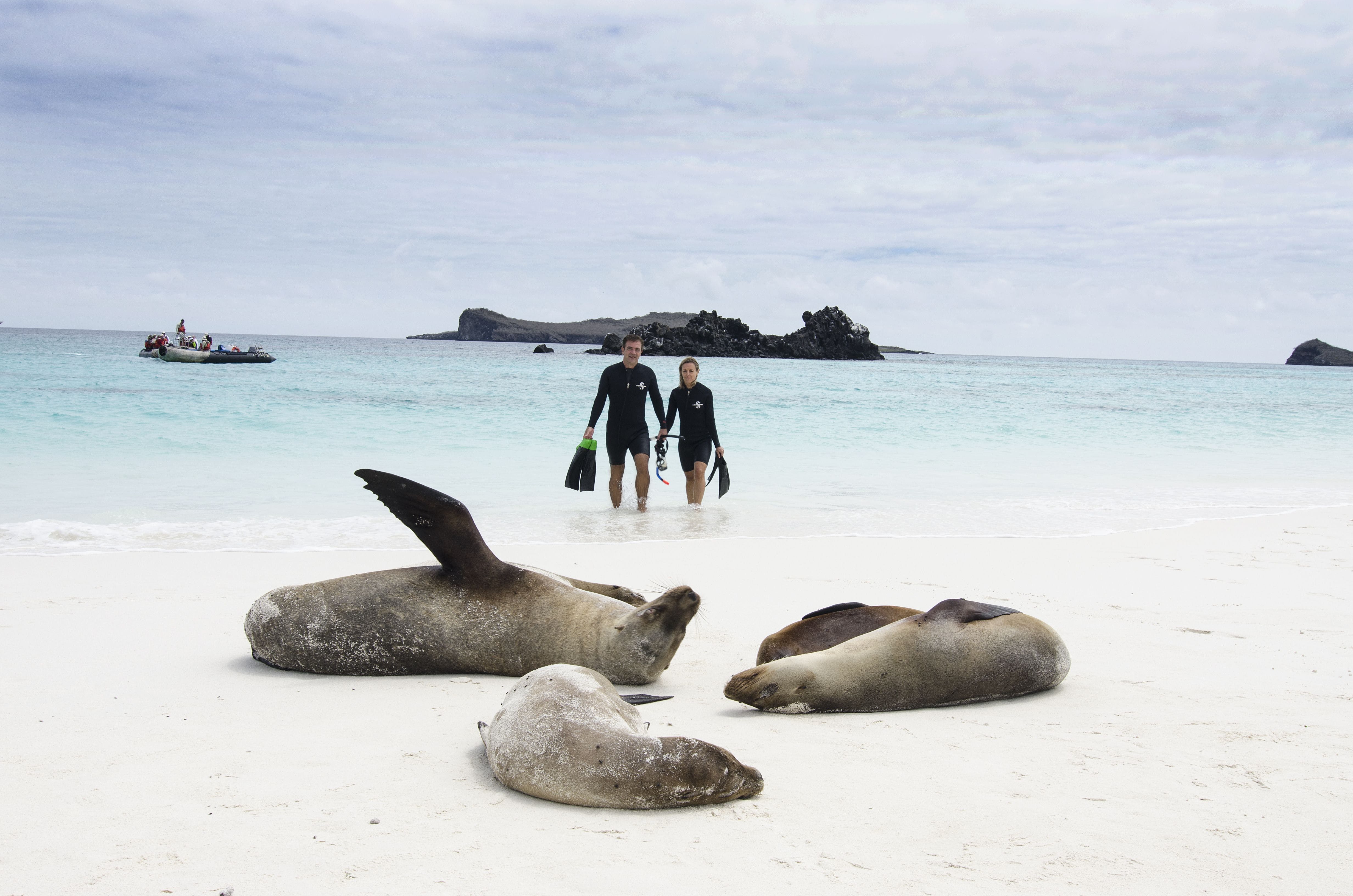 galapagos_snorkeling_sealions