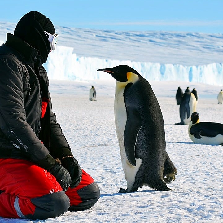 Penguin next to Lindblad guest