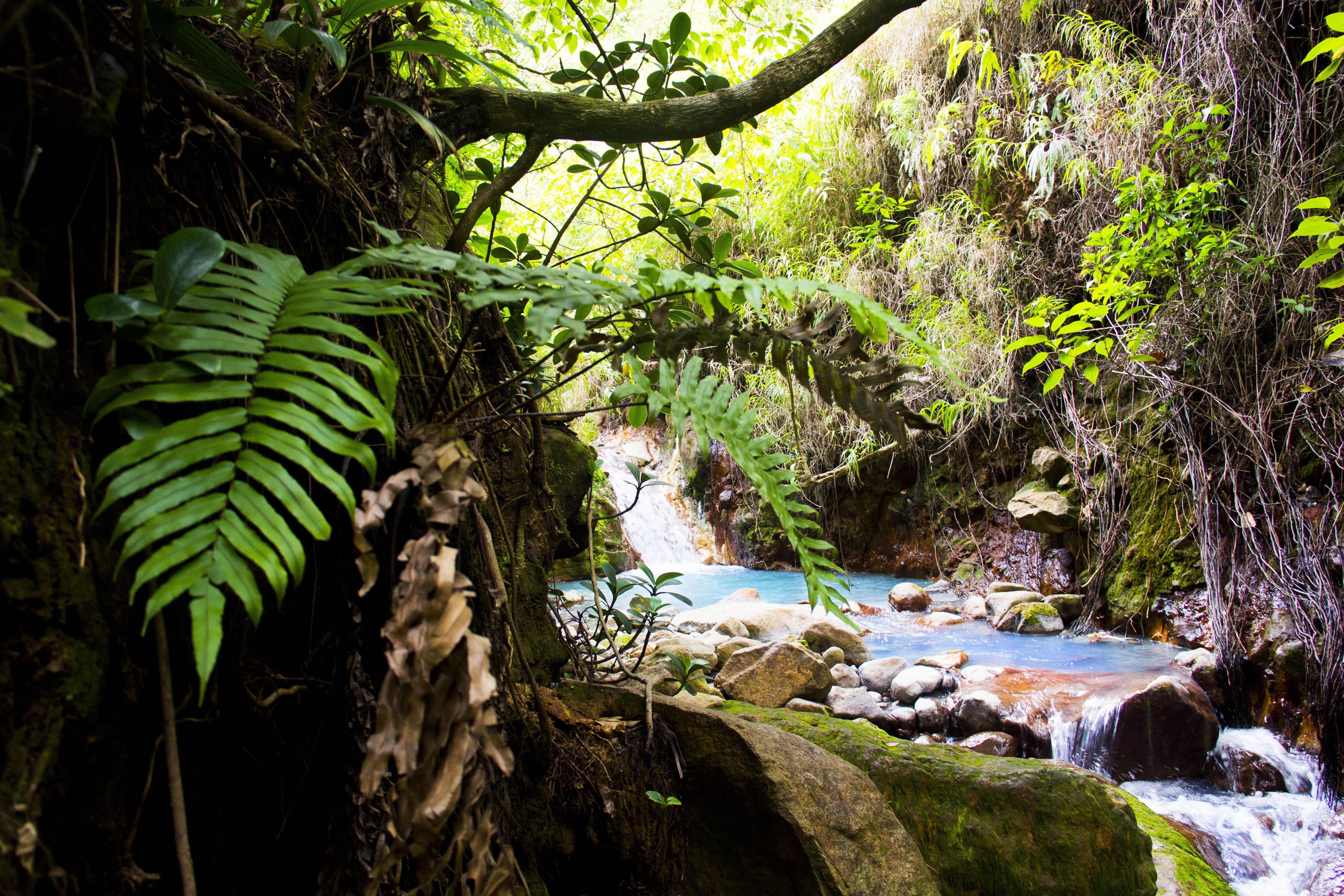 Natural hot pools, Boiling Lake, Dominica